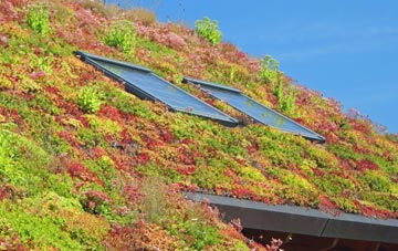 Crowborough living roof systems